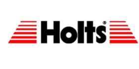 HOLTS 001848 - GRADA DE LITIO MULTIUSOS 500ML