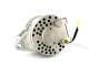 · 021425078 - ALTERNADOR HINO 24V NIKKO NUEVO