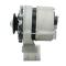 · 0120339531+ - ALTERNADOR DEUTZ 33A 12V +LINE NUEVO (347)