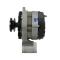· CA728IR - ALTERNADOR RENAULT 65A 12V HC-PARTS RECONSTRUIDO