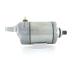 · 400036102+ - MOTOR DE ARRANQUE STARTER HONDA 12V +LINE NUEVO